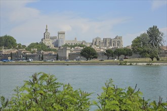 View over the Rhône to cityscape with papal palace and historic city wall, Rhone, Avignon,