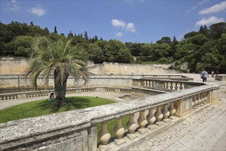 Jardins de la Fontaine, park with palm tree and balustrade, Nîmes, Gard, Provence, France, Europe