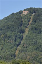 Cable car uphill to Rietburg in Edenkoben, lift, mountain, forest, aisle, slope, up, Palatinate