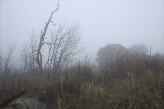 Legendary Brunhildis rock in the fog, stone figure, nature, gloomy, landscape, grey, monochrome,