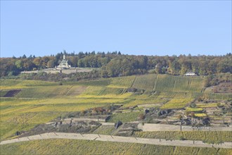 View of UNESCO Niederwald Monument with vineyards, vineyards, fields, autumn landscape, autumn,