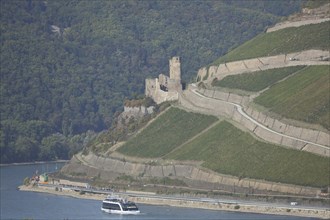 Ehrenfels Castle and Rhine with Binger Loch and boat, shipping traffic, Rüdesheim, Rheingau,