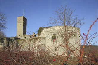 Königstein Castle built in the 12th century, Königstein, Taunus, Hesse, Germany, Europe