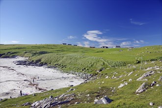 Green coastline with grassy hills and small buildings on a sandy beach under a clear blue sky,