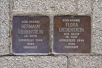 Memorial plaques of Jews deported in 1940 embedded in the pavement, Stolpersteine, Mainbernheim,