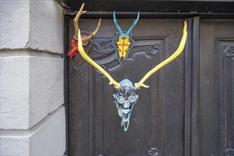 Colourfully painted antlers on a front door, Mainbernheim, Lower Franconia, Bavaria, Germany,