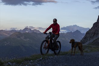 Mountain biker with headlamp, with trail dog in the evening, man with his Vizsla, panoramic trail,