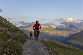 Mountain biker with traildog, man with his Vizsla on the panorama trail, bike tour, Parsenn, Davos,