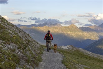 Mountain biker with traildog, man with his Vizsla on the panorama trail, bike tour, Parsenn, Davos,