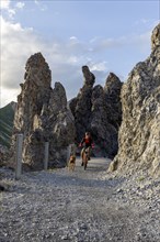 Mountain biker with traildog, man with his Vizsla on a path in the mountains, Davos, Graubünden,