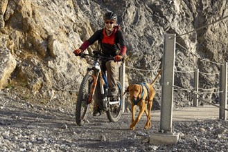 Mountain biker with traildog, man with his Vizsla on a path in the mountains, Davos, Graubünden,