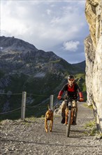 Mountain biker with traildog, man with his Vizsla on a path in the mountains, Davos, Graubünden,