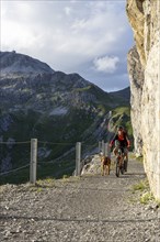 Mountain biker with traildog, man with his Vizsla on a path in the mountains, Davos, Graubünden,