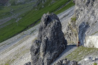 Mountain biker with traildog, man with his Vizsla on a path in the mountains, Davos, Graubünden,