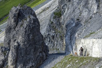 Mountain biker with traildog, man with his Vizsla on a path in the mountains, Davos, Graubünden,