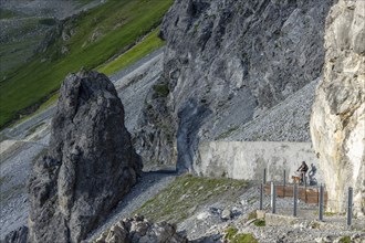 Mountain biker with traildog, man with his Vizsla on a path in the mountains, Davos, Graubünden,