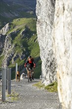 Mountain biker with traildog, man with his Vizsla on a path in the mountains, Davos, Graubünden,