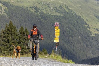 Mountain biker with traildog, man on a mountain bike with his dog, Panoramaweg, Davos, Graubünden,