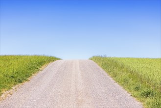 Empty gravel road on a hill by green fields and a clear blue sky