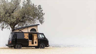 Black van with a pop-up roof parked next to a tree with an open door exposing wooden accents,