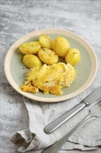 Pork chops baked in oven with melted cheese and roasted potato on a plate