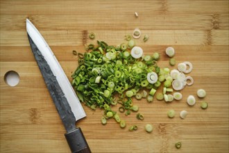 Overhead view of chopped spring onion on cutting board