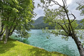 A calm lake with a green shore and trees in the foreground, nestled in wooded mountains, Davos,