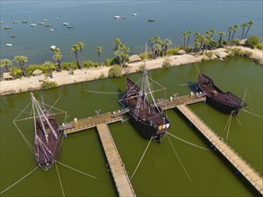 Several historic sailing ships in a water basin surrounded by tropical palm trees under a clear