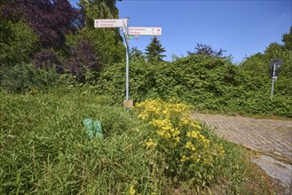 Signposts to Finkenwerder, Waltershof, HH-Centrum and Harburg in the district of Moorburg, Free and