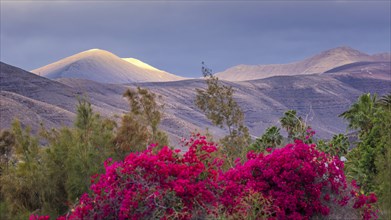 Destination Spain, travel, holiday, holiday, hiking, outdoor, activity, hilly valleys, volcanic