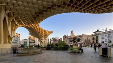 Metropol Parasol in the evening, Setas de Sevilla, Sevilla, Andalusia, Spain, Europe