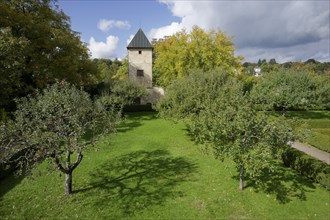 Castle garden in Starnberg, Lake Starnberg, autumn, golden October, fruit trees, fruit tree, apple