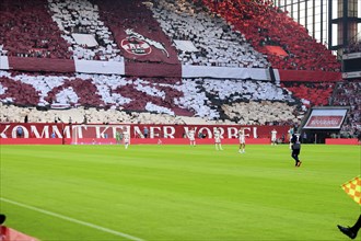 2nd Bundesliga, 1.FC Köln, HSV Hamburg on 02/08/2014 at RheinEnergieStadion in Cologne Germany .