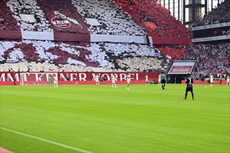 2nd Bundesliga, 1.FC Köln, HSV Hamburg on 02/08/2014 at RheinEnergieStadion in Cologne Germany .