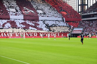 2nd Bundesliga, 1.FC Köln, HSV Hamburg on 02/08/2014 at RheinEnergieStadion in Cologne Germany .