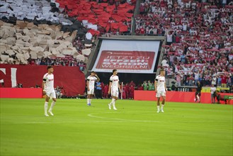 2nd Bundesliga, 1.FC Köln, HSV Hamburg on 02/08/2014 at RheinEnergieStadion in Cologne Germany .