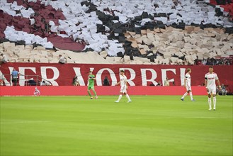 2nd Bundesliga, 1.FC Köln, HSV Hamburg on 02/08/2014 at RheinEnergieStadion in Cologne Germany .