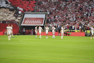 2nd Bundesliga, 1.FC Köln, HSV Hamburg on 02/08/2014 at RheinEnergieStadion in Cologne Germany .