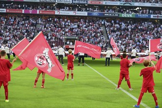 2nd Bundesliga, 1.FC Köln, HSV Hamburg on 02/08/2014 at RheinEnergieStadion in Cologne Germany .