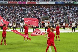 2nd Bundesliga, 1.FC Köln, HSV Hamburg on 02/08/2014 at RheinEnergieStadion in Cologne Germany .