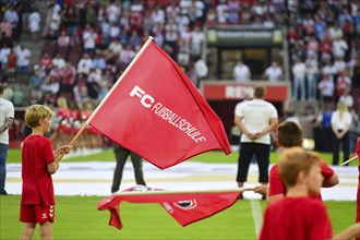 2nd Bundesliga, 1.FC Köln, HSV Hamburg on 02/08/2014 at RheinEnergieStadion in Cologne Germany .