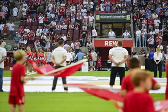 2nd Bundesliga, 1.FC Köln, HSV Hamburg on 02/08/2014 at RheinEnergieStadion in Cologne Germany .