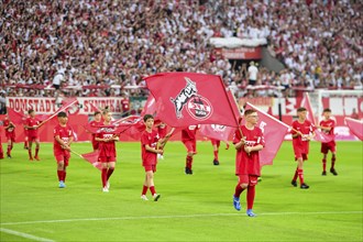 2nd Bundesliga, 1.FC Köln, HSV Hamburg on 02/08/2014 at RheinEnergieStadion in Cologne Germany .