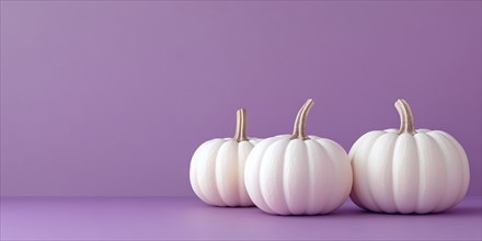 Banner with three large white pumpkins on violet background with copy space. Generative Ai, AI