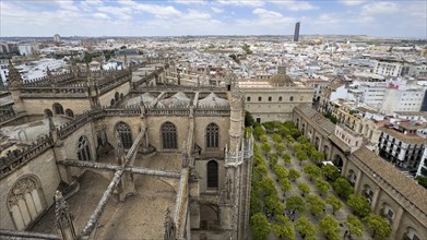 View from the Giralda, Seville Cathedral, Catedral de Santa Maria de la Sede, Seville, Andalusia,