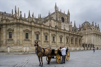 Horse-drawn carriage in front of Seville Cathedral, Catedral de Santa Maria de la Sede, Seville,