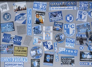 Stickers of Ultras, horror fans, hardcore fans of the football club 1. FC Magdeburg on a board at