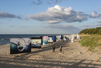 Stands with shark photos from the 2024 Environmental Photo Festival in Zingst, Mecklenburg-Western