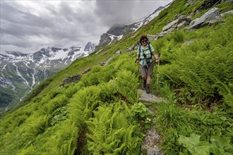 Mountaineer on a hiking trail on a green mountain slope, cloudy mountain peaks in Stillupptal,