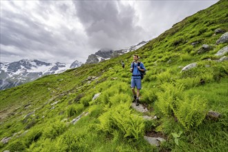 Mountaineers on a hiking trail on a green mountain slope, cloudy mountain peaks in Stillupptal,